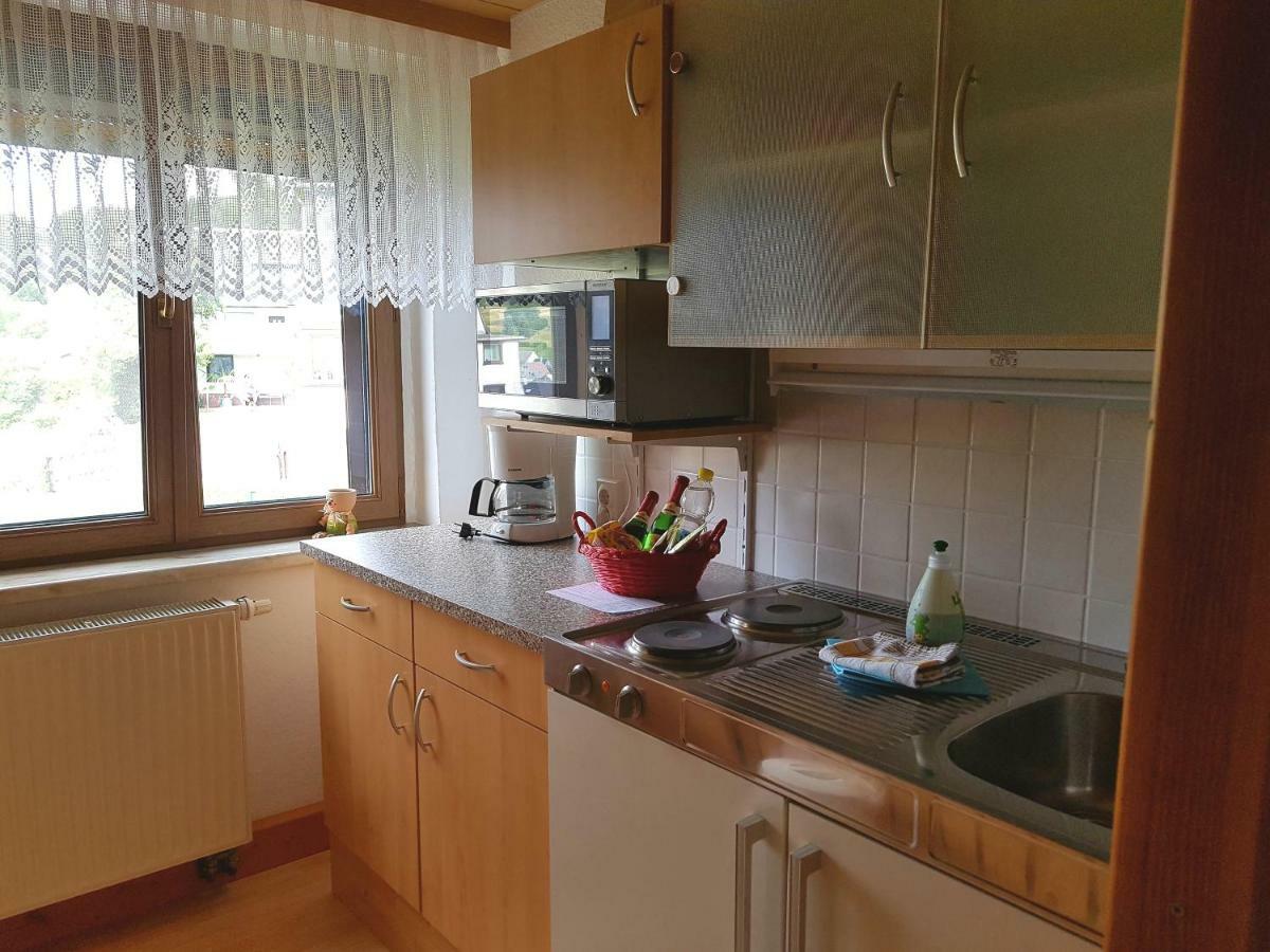 Ferienwohnung Berndt Oberweißbach Esterno foto